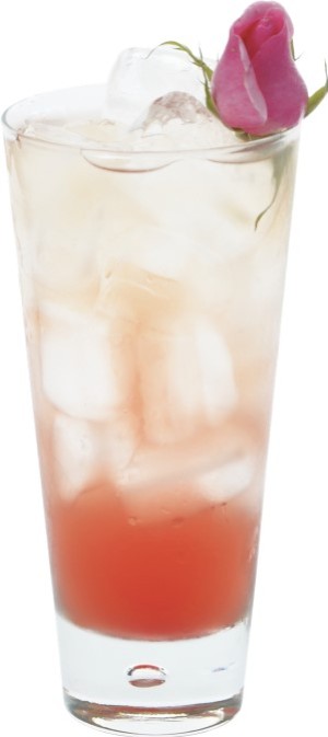 Iced Tea Soda Rose