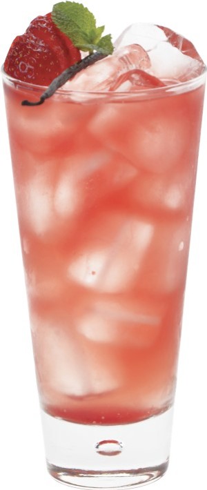 Iced Tea Fraise Vanille