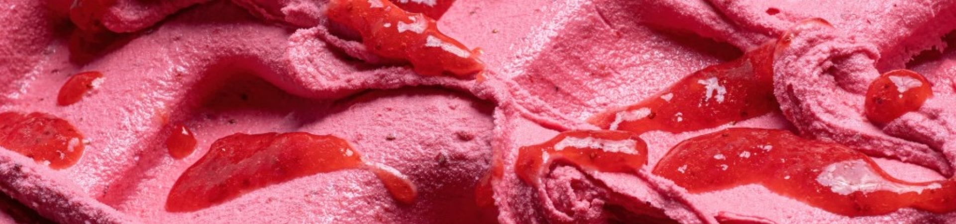 Recettes Sorbets